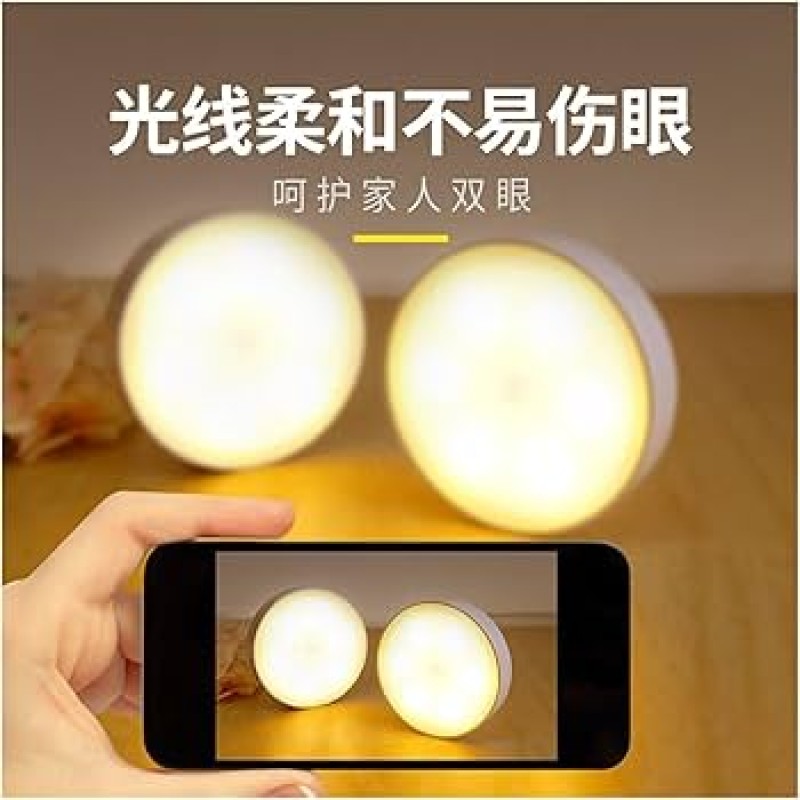 Body Induction Lamp ১পিছ